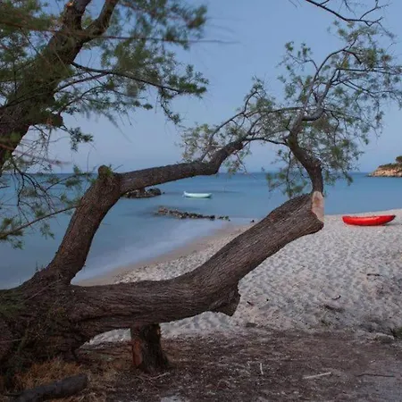 Апартаменты Sea View At Xenios Avlais Аликанас