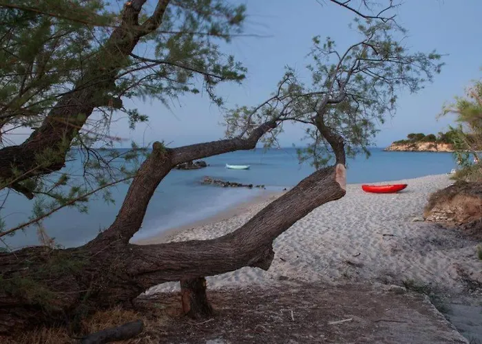Διαμέρισμα Sea View At Xenios Avlais Αλυκανάς